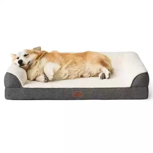 Orthopedic Dog Bed