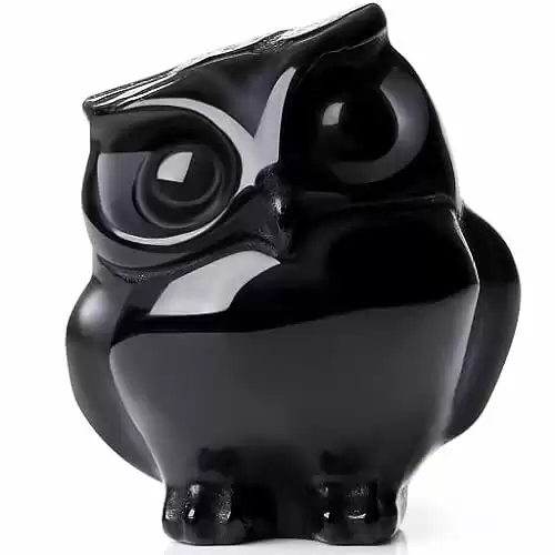 Obsidian Owl Office Decoration