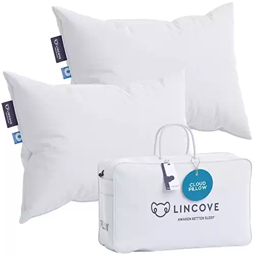 Cloud Natural Luxury Sleeping Pillow