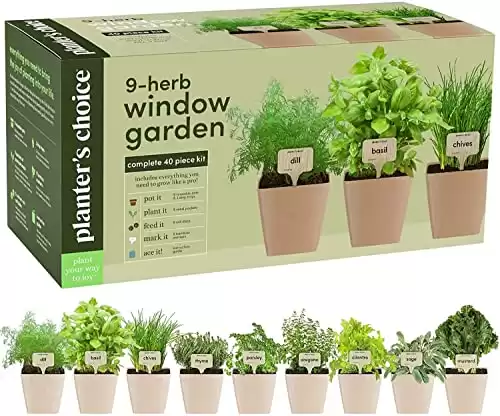 Window Herb Garden