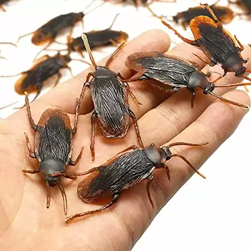 Bag Of Fake Motel Roaches