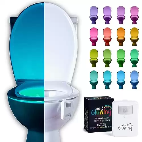 Toilet Night Light