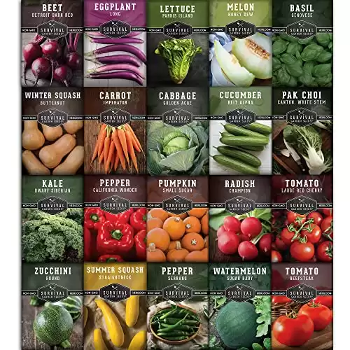 Vegetable Starter Kit Seed Vault